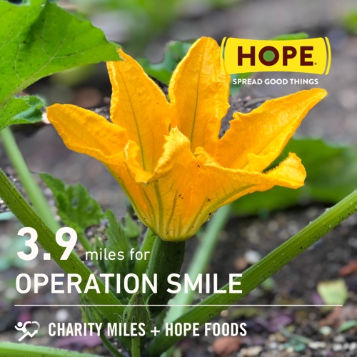 LatersBabyUK's tweet photo. #FiftyFans @fiftys_fitties I did 3.9 @CharityMiles for @operationsmile. Thx @HopeHummus for sponsoring me! #SpreadHope #CourgetteFlower ππππ https://t.co/BsIodXjKI2