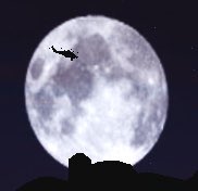 Firestone Memes tweet media