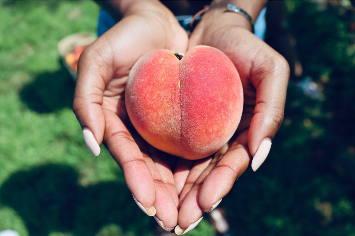 johnson_raegan's tweet photo. peachy Monday 🍑 https://t.co/UnUAbBtCdF