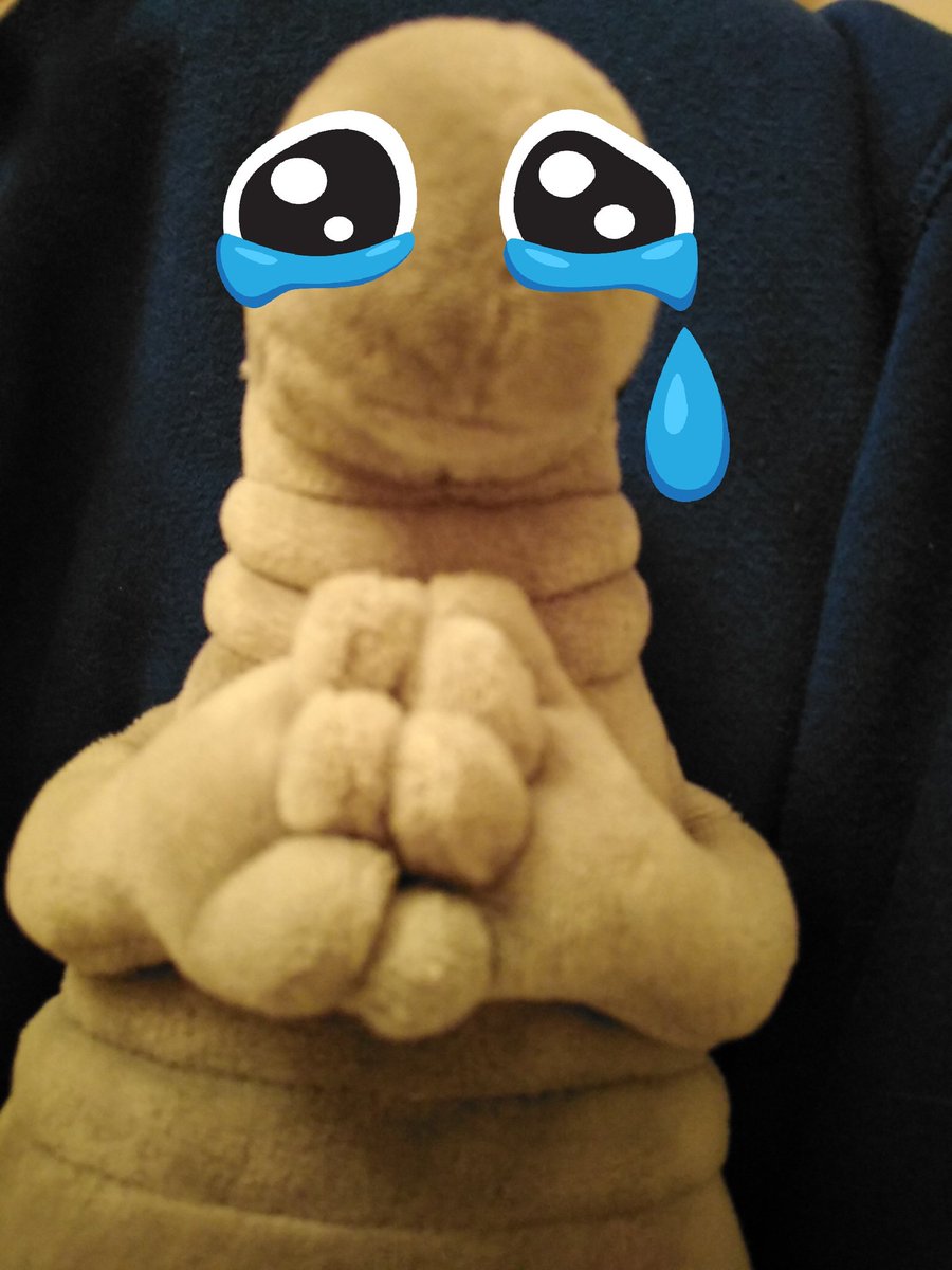 woshians's tweet photo. Wosh needs a friend... Will you be his? 💖💖 https://t.co/5znZW4FJ4P
