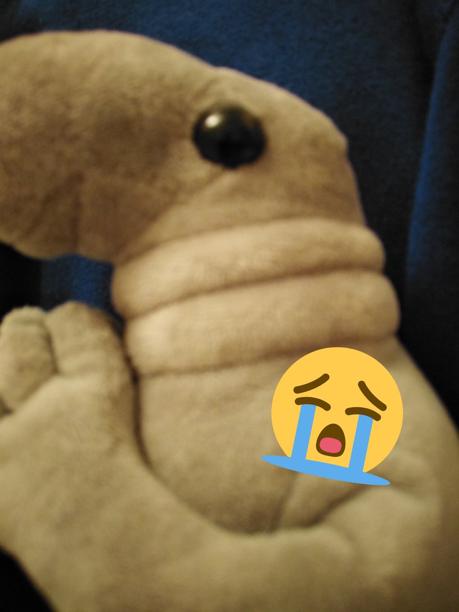 woshians's tweet photo. Wosh needs a friend... Will you be his? 💖💖 https://t.co/5znZW4FJ4P