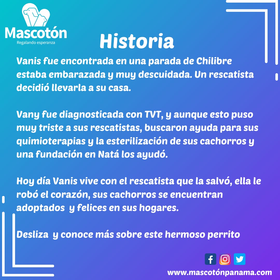 Mascotón tweet media