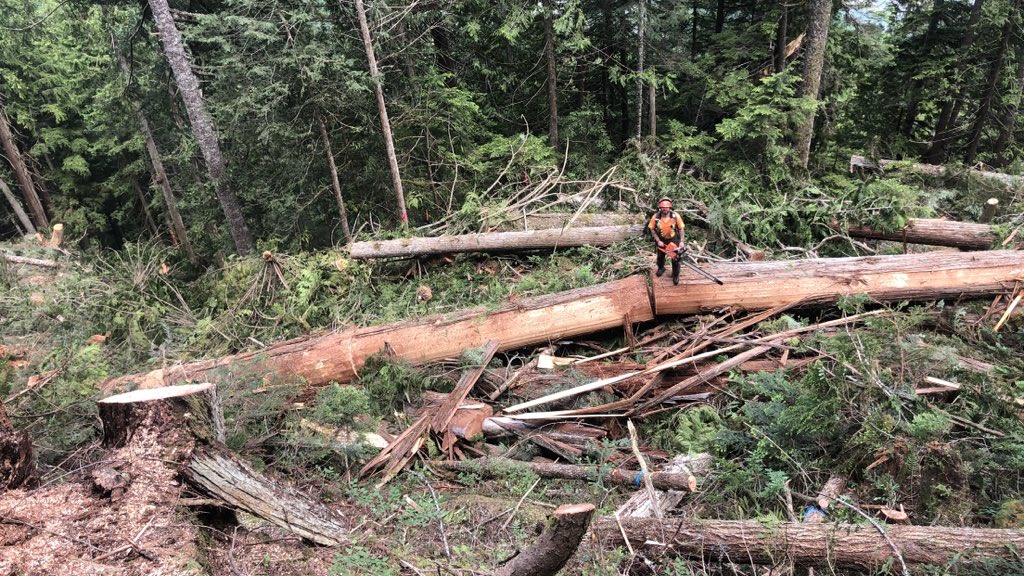 CorbinTuck's tweet photo. Pitt Lake #bcfallers https://t.co/tbymN4AzlK