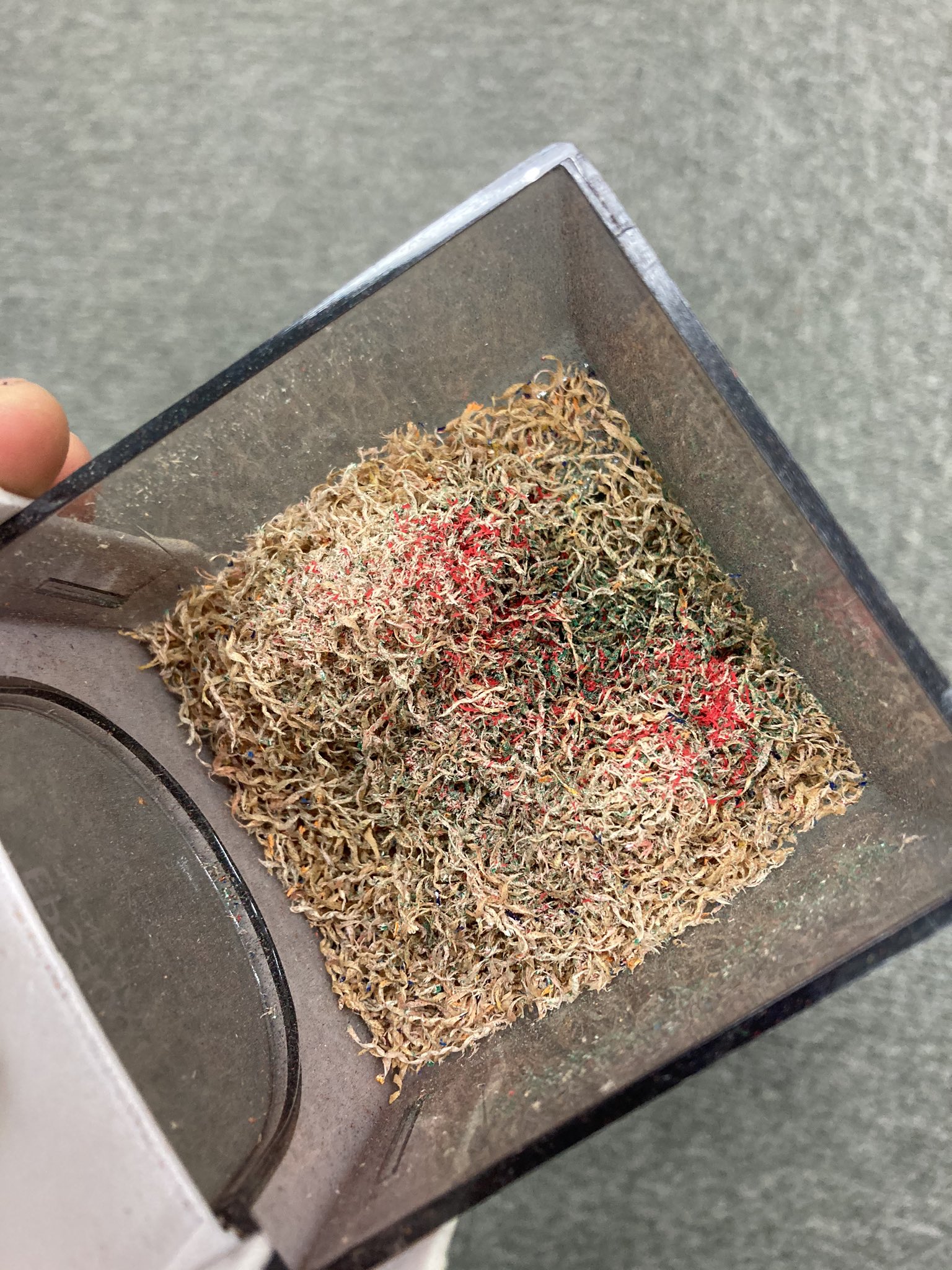 あの食べ物にそっくり 遠目から見るとすごく美味しそうな鉛筆の削りカス 話題の画像プラス