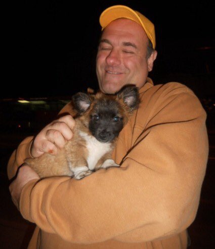 Mark 🏳️‍🌈 tweet media