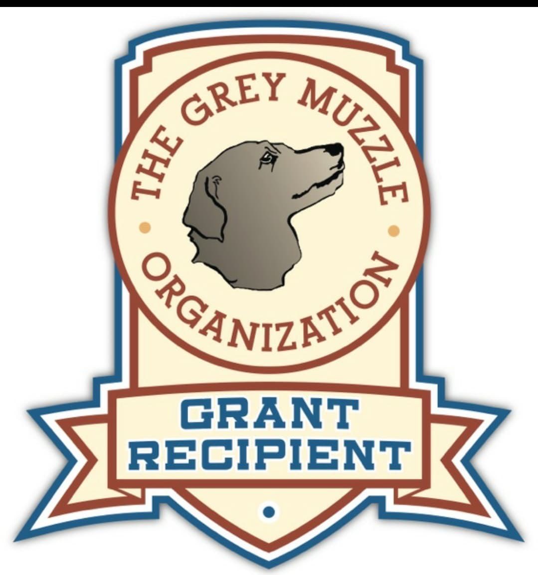 Two by Two Rescue is the proud recipient of The Grey Muzzle Organization's 2020 grant to help senior dogs in need!