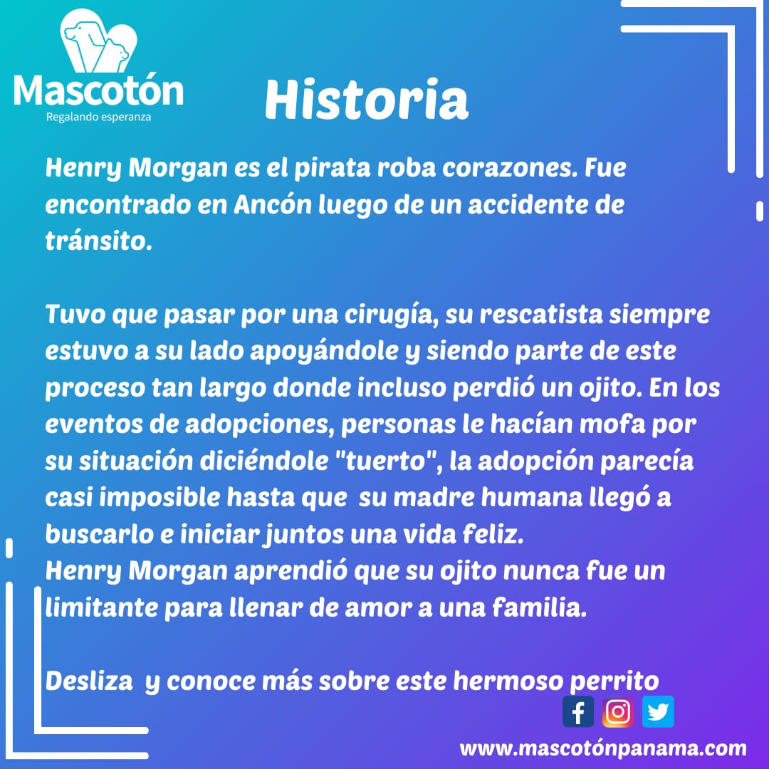 Mascotón tweet media