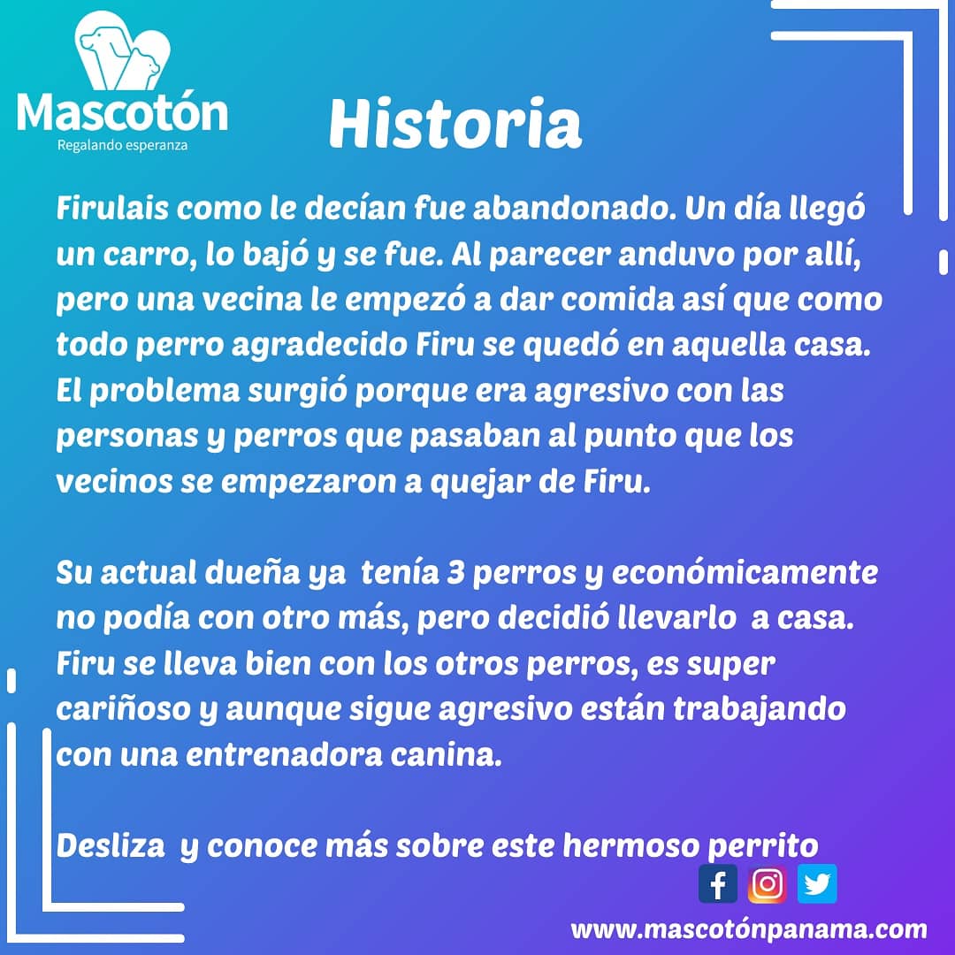Mascotón tweet media