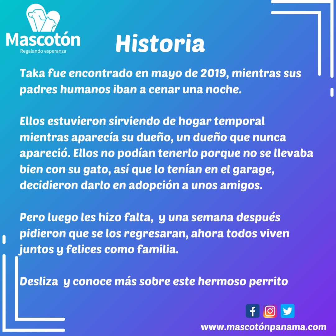 Mascotón tweet media