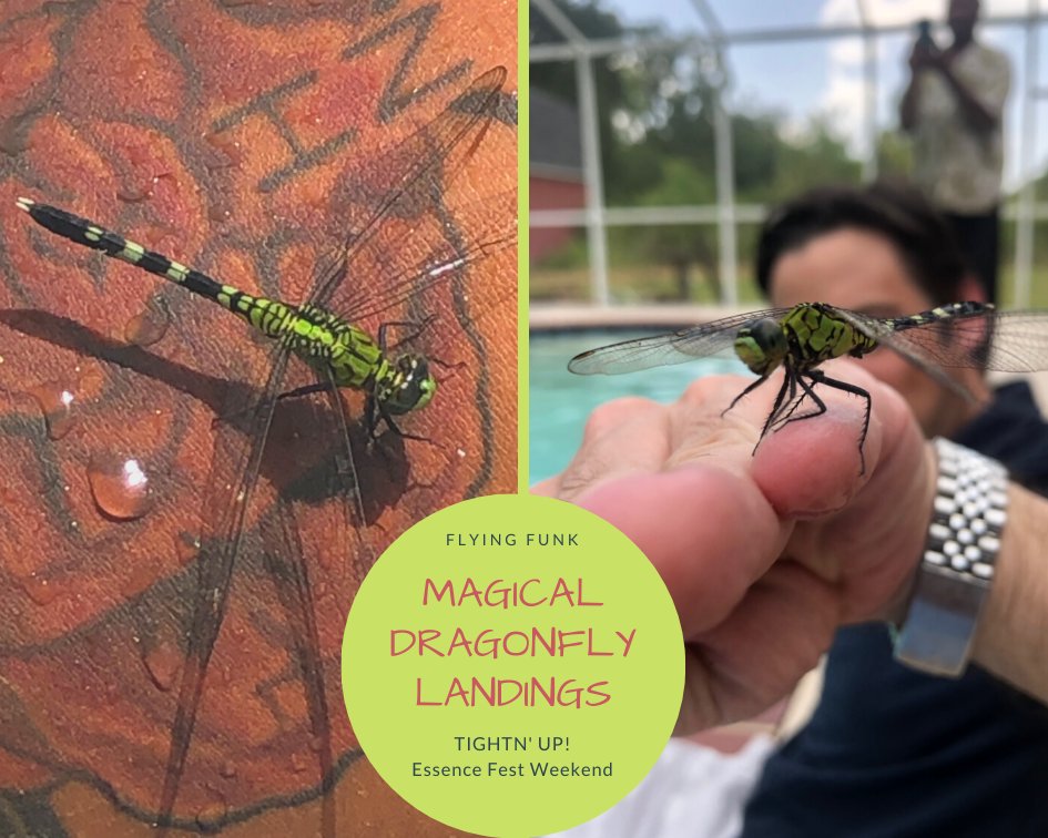 🎤A Year ago we got booked to headline a jazz club in the heart of the world-renowned Essence Festival!!  Take a funky walk down memory lane with us from our blog!

 buff.ly/2O4eNsM