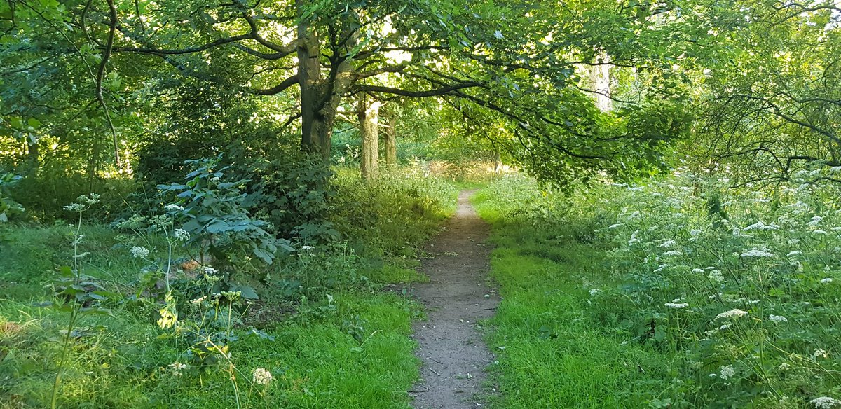 More pics from earlier....Been nice walking the woods...