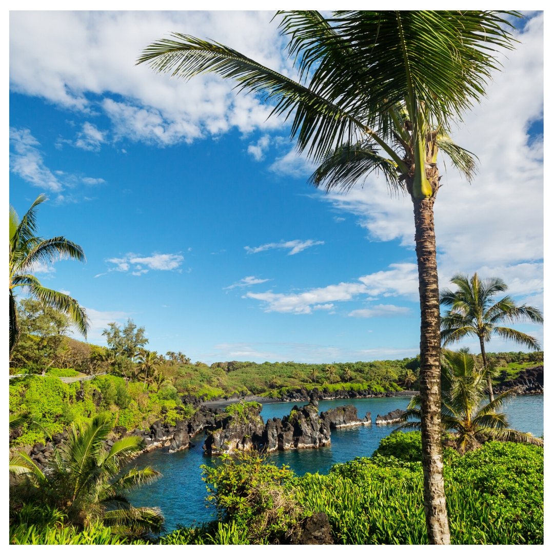 The tropical landscapes 🌴of Maui are paradise-like ✨. You have to see it to believe it. It doesn't matter if this is your first visit or if you have been here many times, you'll always stumble upon a new adventure. ❤️