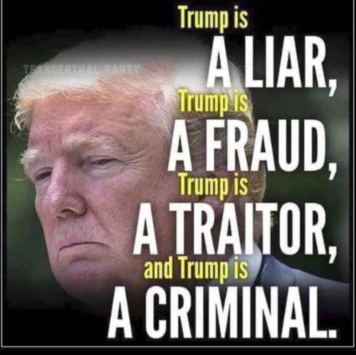 WingertTom's tweet photo. @realDonaldTrump #LiarInChief #ChildrenInCages #BountyGateAintGoingAway #TrumpDeathToll132K #TrumpVirusCatastrophe #TrumpPandemicFailure #GolferInChief #TraitorTrump #TraitorsSupportTraitorTrump #IDontRead #TweeterInChief #DumpChumpTrump https://t.co/me6QVkhy71