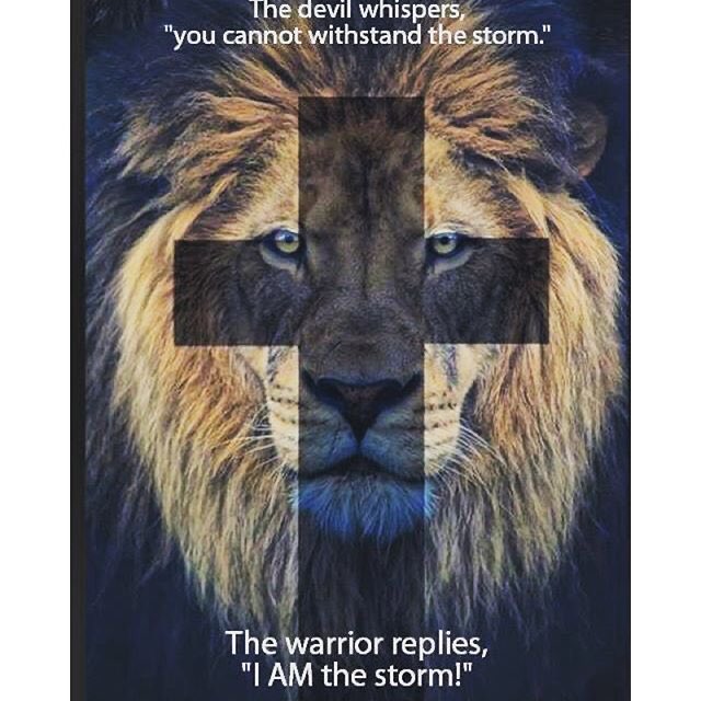 Elijah00777's tweet photo. Pray for Israel 🇮🇱! Jesus Christ is coming soon! Praise Jesus! Hallelujah!🙏🙏🇮🇱🙏🌎☄️☄️☄️☄️☄️☄️☄️✅🌑🌑🌑🌑🌑🌑🌑✅Gods will be done ✅ KJV⚔️💯 https://t.co/8LE290yIIa