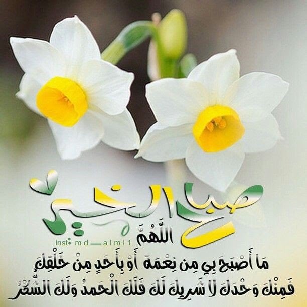 FaHo0oDe3433's tweet photo. أسعد الله صباحكم بكل ود https://t.co/plyJRk4jzE