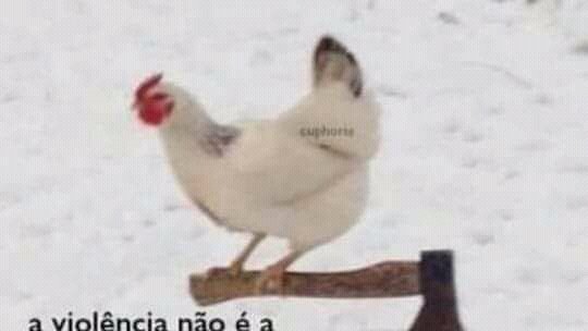 Manguerinha_Man's tweet photo. Olá Sofia, poderia me tirar essa dúvida? Quem veio primeiro, o ovo ou a galinha? #PerguntaPraSofia https://t.co/QXWpt4tFTP