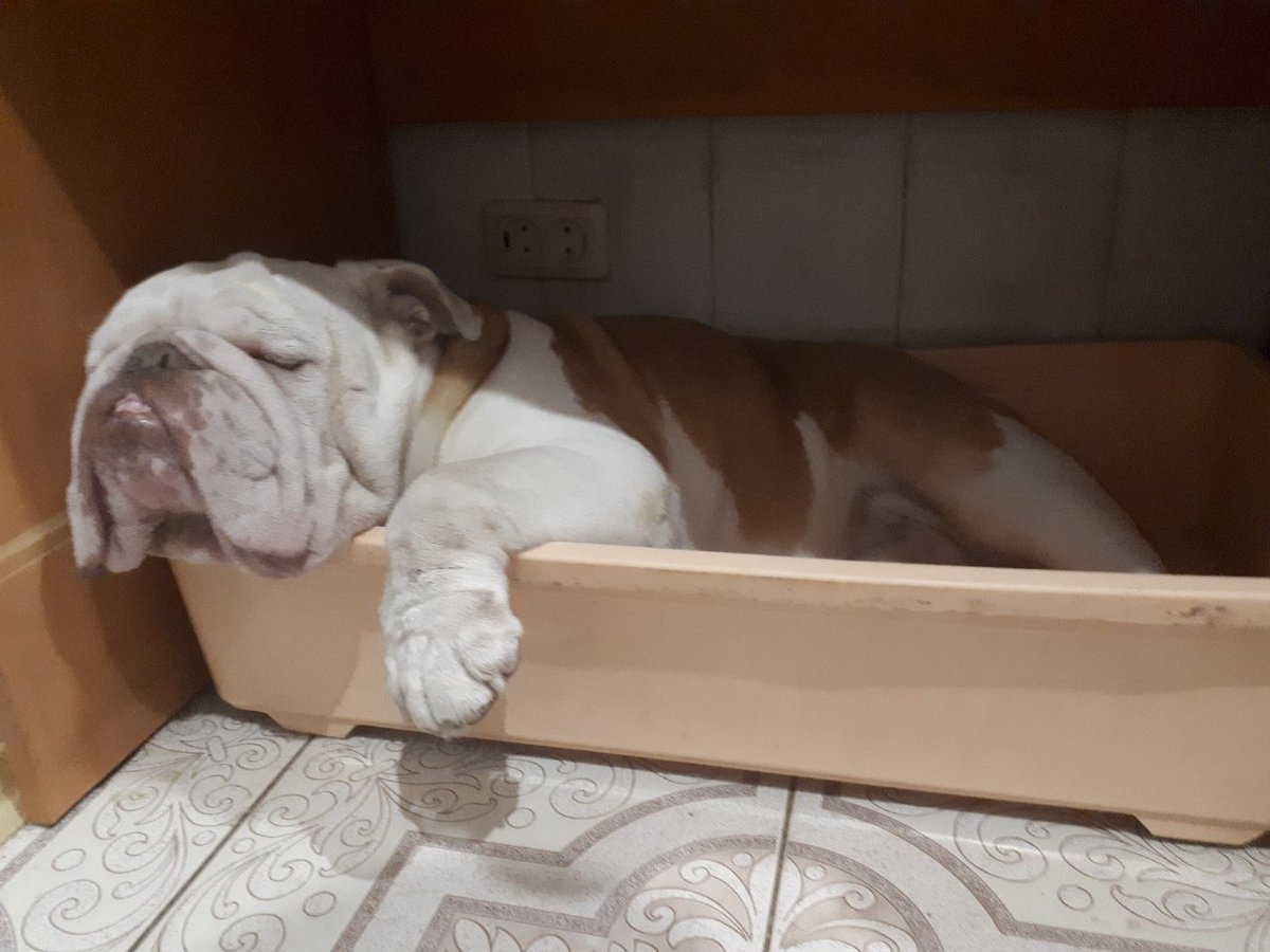 Кому нужен универсальный будильник? Он сам вас разбудит, когда надо. ВЫ никогда не проспите работу, ВЫ никогда не опоздаете куда-то с утра ( но это не точно  ). 
И ему все равно уснули вы в 9 вечера или в час ночи, он разбудит вас в 6 утра. 
А потом сам уйдет спать.
А вы нет.