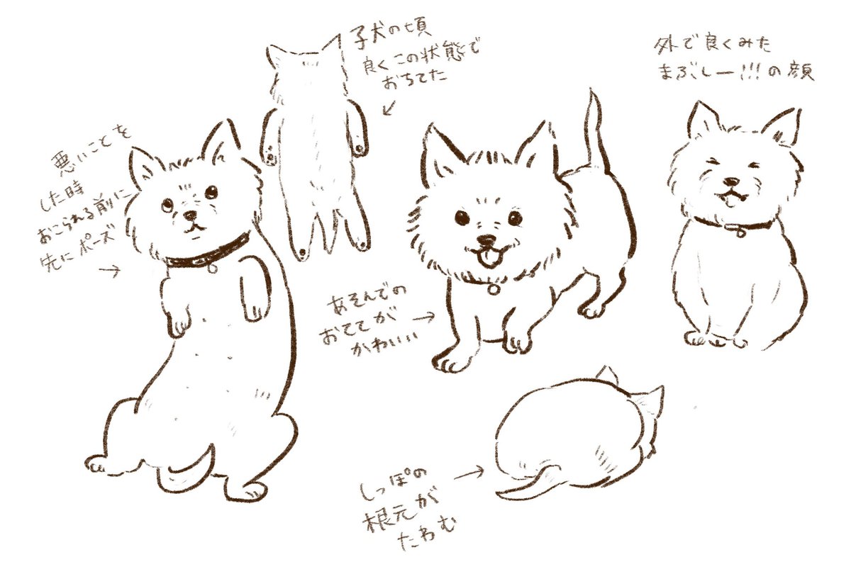 今日はなんだか犬の日。愛犬の想い出に浸るイラスト。
#ウエスティ 
#イラスト
#犬 