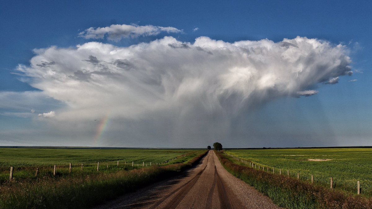 Hankstuthorne's tweet photo. @CTVdavidspence South of Nanton July 6/20 https://t.co/64xOcokev0