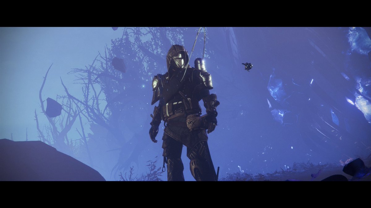 somewhattoasty's tweet photo. @Bungie #BungieDayFashionShow https://t.co/aRmrHnaT8a
