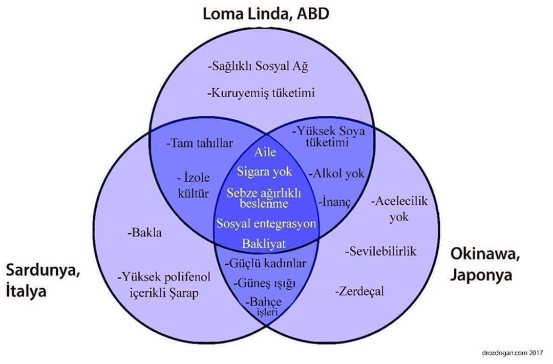 aydintufekci43's tweet photo. Dünyanın farklı ülkelerinden uzun ömürlü insanların yaşamlarındaki ortak özellikler. (Kaynak Anonim) https://t.co/NwUJ0OTuWE