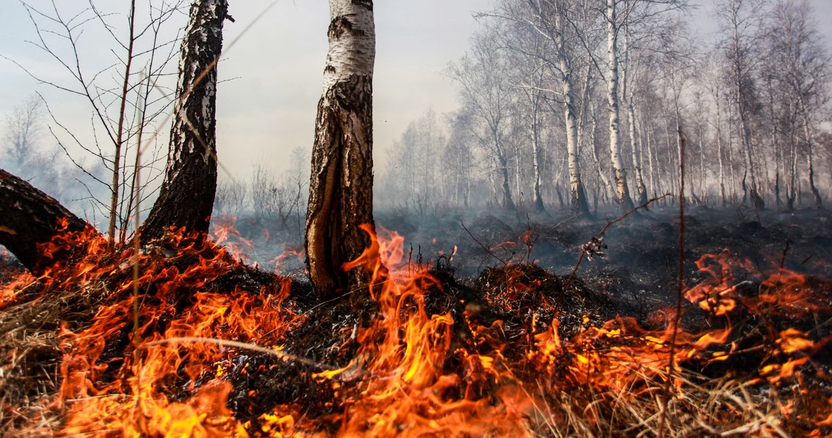 2C2030's tweet photo. Siberia, the proverbial coldest place, situated way up at the top of the globe in the #Arctic circle, is experiencing record warm temperatures, melting sea ice, and massive wildfires. #climatechange Read on: https://t.co/nBDOfnTIgM https://t.co/yf2z6RV3cj