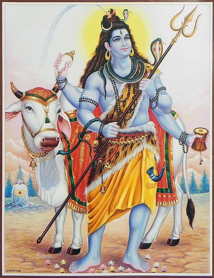 Cow Love ࿗ tweet media