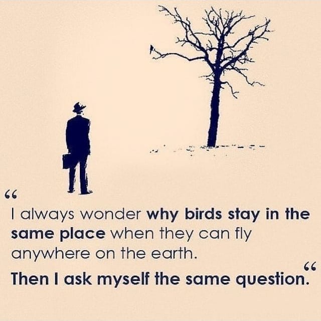 ArtinNazarian's tweet photo. Simple yet powerful!
#keepgoing #keepgroing #ambitious #keytosuccess #garyvee #inspirationbusiness #successmindset #bussinessmind #gogetter #mindsetcoach #millionairegentlemen #successminded #entrepreneurquotes #businessadvice #entrepreneurial #quotesaccount #quotes4you https://t.co/9G2dpPysMT