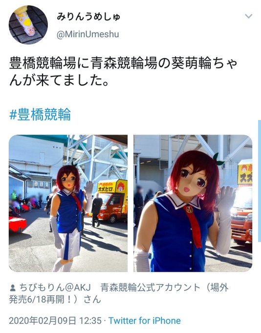 葵 萌輪 あおいもりん オリジナルサイクルシャツ ジャージ