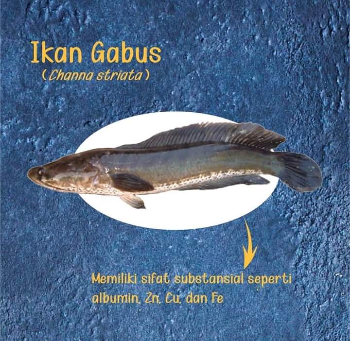 ☀️☯️ Ĕxčèĺ Ďèé🌏🌱 tweet media