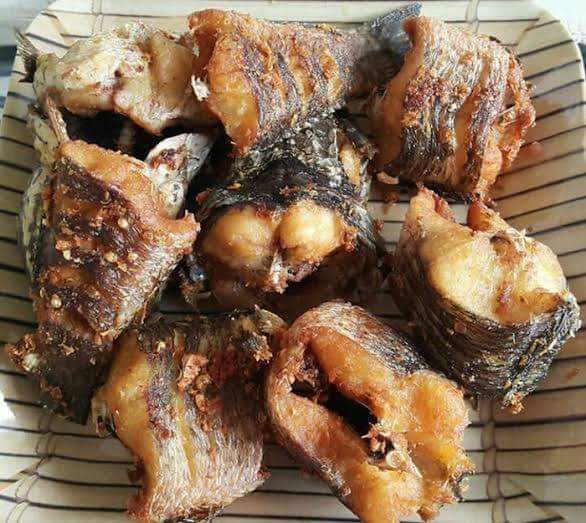 Excel_Dee's tweet photo. ~ MANFAAT IKAN GABUS UNTUK KESEHATAN ~

Ikan gabus adalah salah satu ikan air tawar yg paling digemari untk dikonsumsi di Indonesia.

Kandungn ikan gabus kaya akan protein yg tinggi dan kandungan gizi yg mengalahkan gizi ikan salmon. https://t.co/2NpCgDmEjN