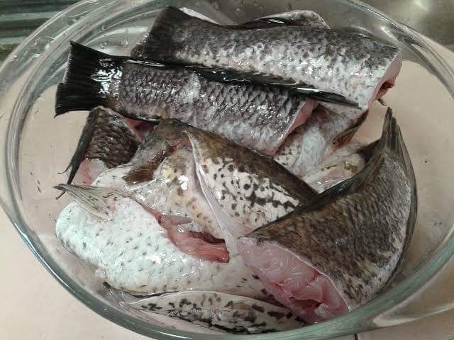 Excel_Dee's tweet photo. ~ MANFAAT IKAN GABUS UNTUK KESEHATAN ~

Ikan gabus adalah salah satu ikan air tawar yg paling digemari untk dikonsumsi di Indonesia.

Kandungn ikan gabus kaya akan protein yg tinggi dan kandungan gizi yg mengalahkan gizi ikan salmon. https://t.co/2NpCgDmEjN
