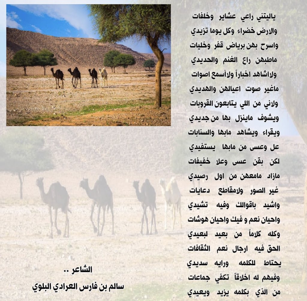 ssaa14ll's tweet photo. ياليتني راعي عشاير وخلفات .. https://t.co/VVgFdTzUUt