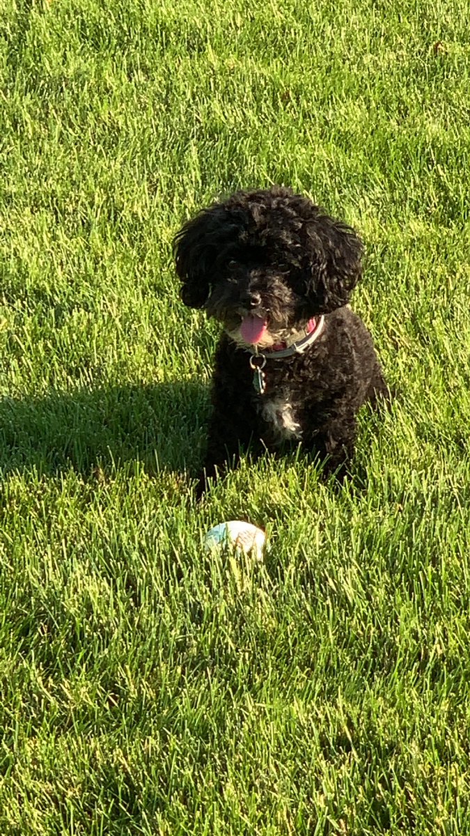 LadyJaye20's tweet photo. #Baseball https://t.co/fq6cx7c9S8