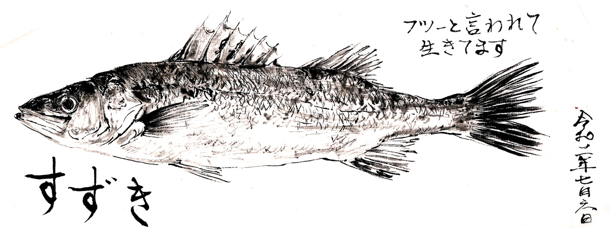 Yoichi Wakui در توییتر お魚絵 スズキです 一般的なお魚の形のイメージですよね 口にする機会は好く鯵や鮭の方が多いと思うのですが どうも 普通の魚 イメージが強い気がします