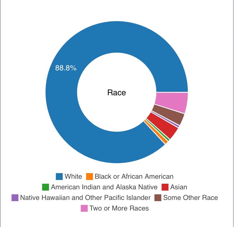 Lynden is nearly 90% white. There’s a small but significant Latinx community, without which the county wouldn’t survive. Many in this community initially came for agricultural work in the famous berry fields in Whatcom county or to work on Lynden dairy farms.