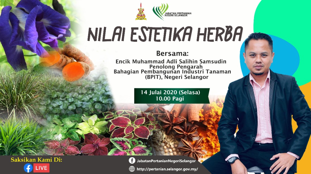 Pertanian Selangor Doaselangor Twitter