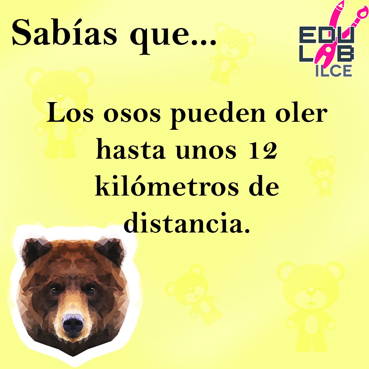 #Sabíasque #Curiosidades #EduLAB