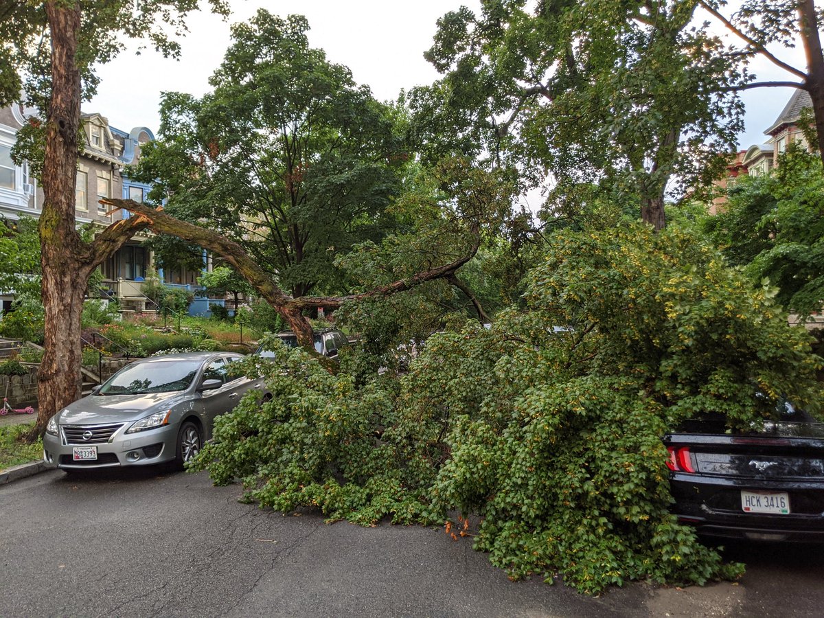 Tonight's storm in DC brought down part of a tree on my street. TBA on the fate of the mustang.