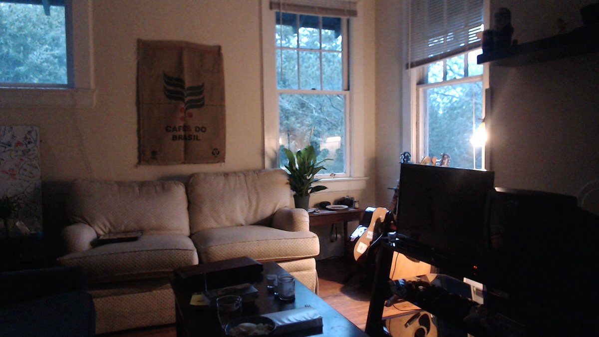 noahschlfr's tweet photo. my living room now has plant. game over https://t.co/0g5N21W4Wt
