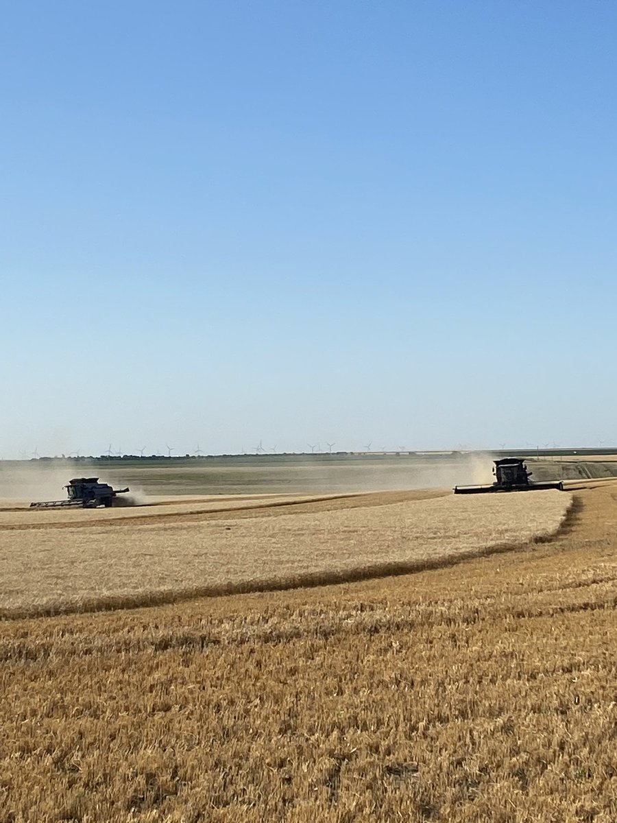 cornandcalves's tweet photo. ๐ after these terraces #kansaswheat #flatkansas https://t.co/ghybObXXl2