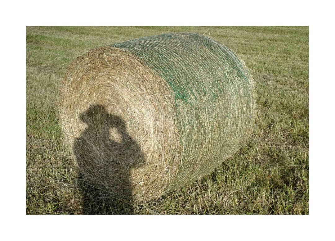 Regalos visuales de la naturaleza