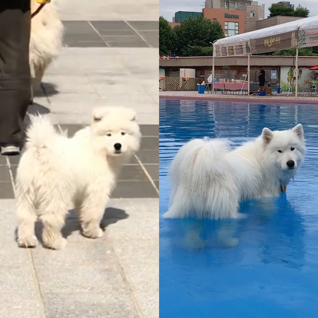 물구나무서서봐도 그대로 자라났음