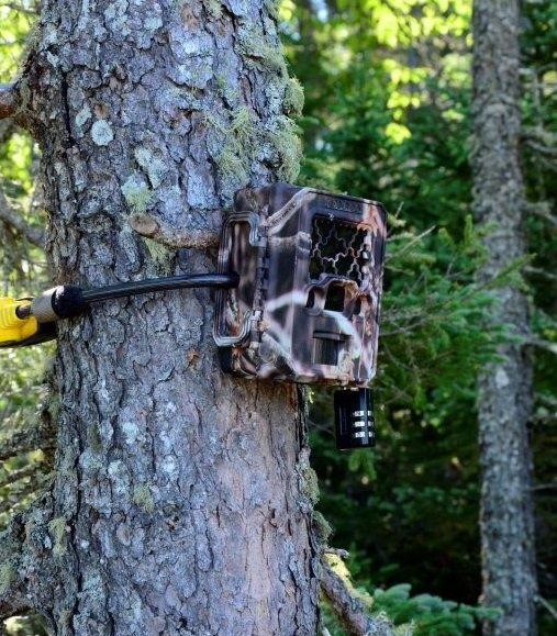 OntarioParks's tweet photo. If you've seen these hanging on a tree, leave them be! 

They're important tools for wildlife research: https://t.co/oOoxpAW6U2. https://t.co/lhxrfVFVG4