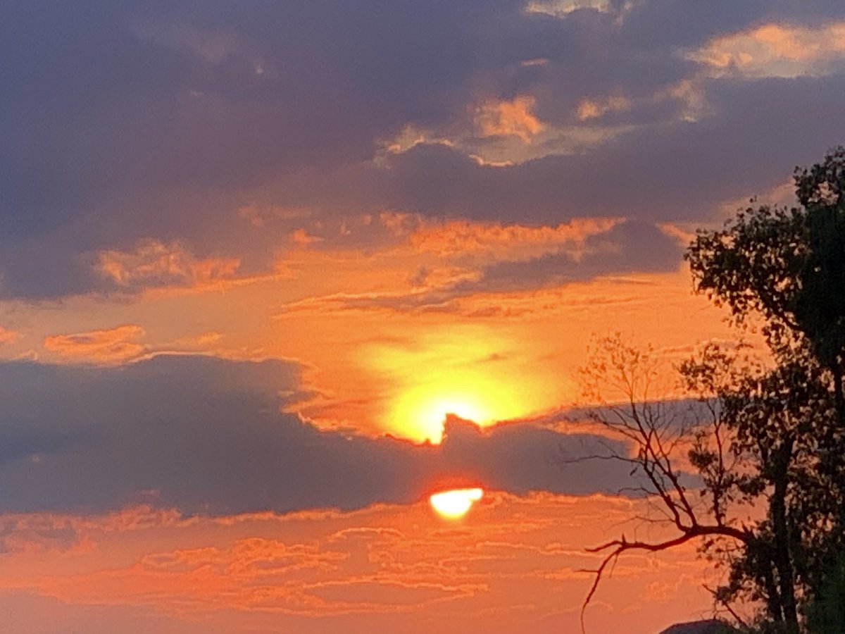 allie_schulman's tweet photo. No matter how hard the day at work - there is nothing more special & invigorating than Ann Arbor skies ❤️
I regularly find myself driving the longest routes just to soak in the best views
#LifeInMichigan #unedited #WomenInEndo https://t.co/ZXRzM3ElD1
