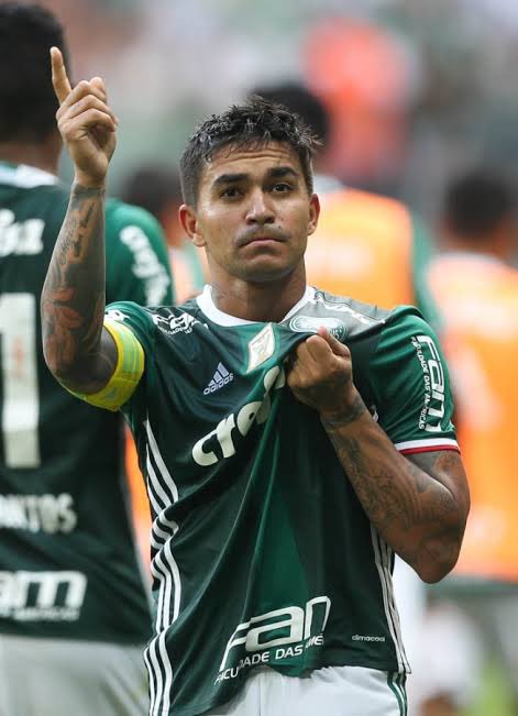 TwitPigsOficial's tweet photo. Gigante!!!!!!!! obrigado Dudu ! #TwitPigs https://t.co/GnehChxgBB
