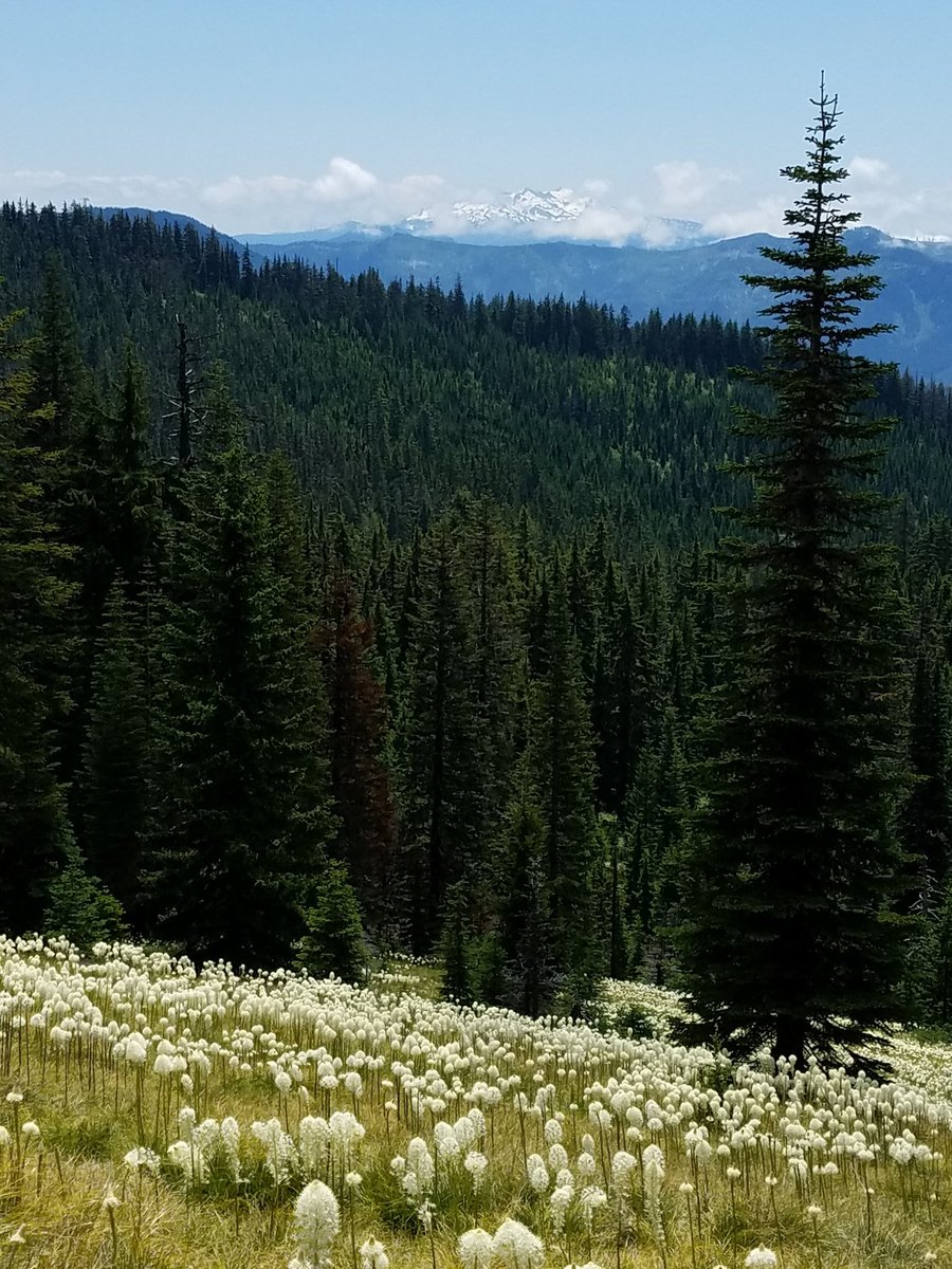 SGEllerhoff's tweet photo. Pics I took today amid the pandemic. Grateful I was able to move back to such a beautiful place...and did it. #OregonIsMagic https://t.co/6rNCcUOIlB