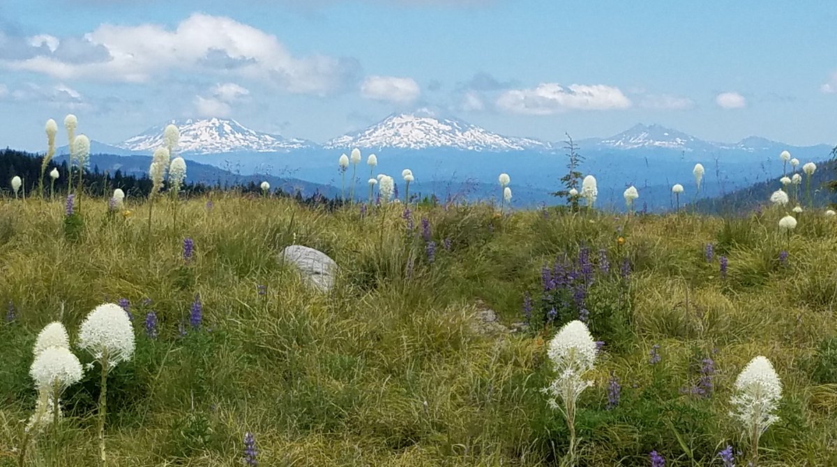 SGEllerhoff's tweet photo. Pics I took today amid the pandemic. Grateful I was able to move back to such a beautiful place...and did it. #OregonIsMagic https://t.co/6rNCcUOIlB