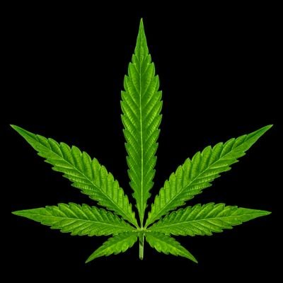 8 Tips for Marijuana Dispensary Merchandising and Product Display
indicaonline.com/blog/8-tips-ma…