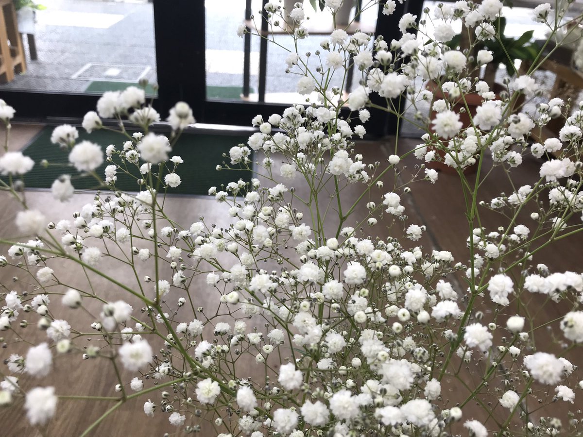 面白いお花屋さん のyahoo 検索 リアルタイム Twitter ツイッター をリアルタイム検索